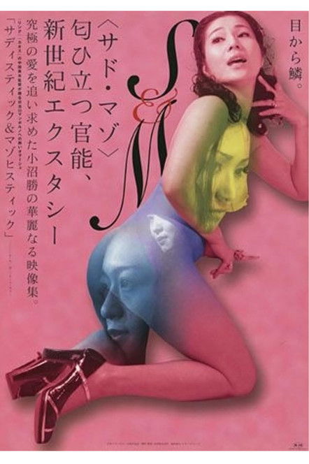 Movie poster for Sadistic and Masochistic (2001)