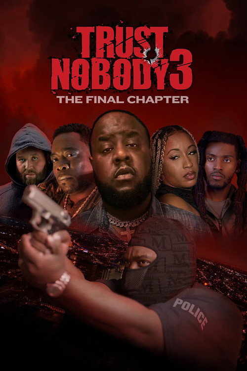 Movie poster for Trust Nobody 3: The Final Chapter (2024)