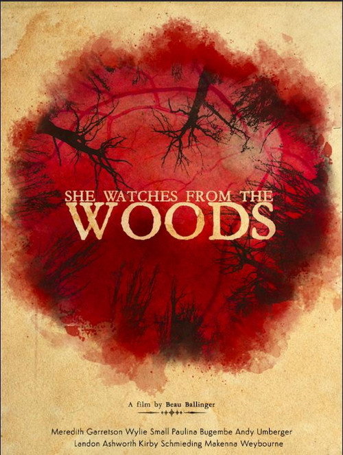 Movie poster for She Watches from the Woods (2021)