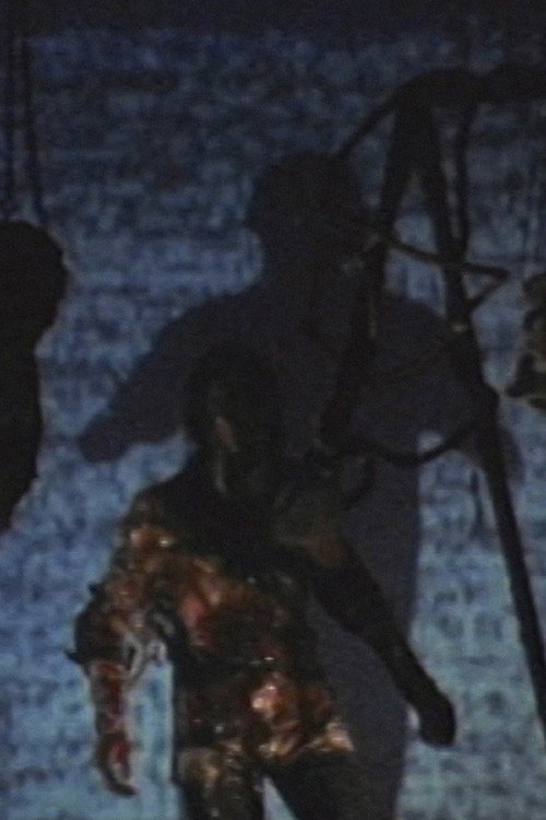 Movie poster for Skinny Puppy: Last Rights Archival Footage (2005)