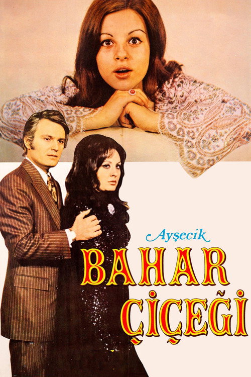 Movie poster for Ayşecik: Bahar Çiçeği (1971)