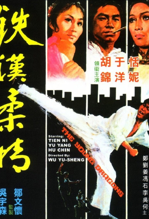Movie poster for The Young Dragons (1974)