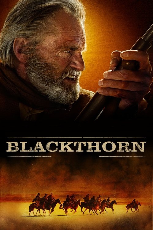 Movie poster for Blackthorn (2011)