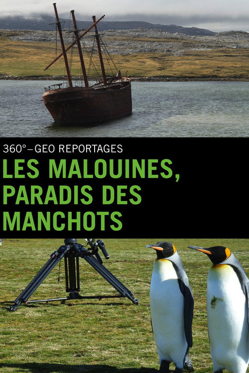Movie poster for Falklandinseln : Pinguine auf dem Vormarsch (2010)