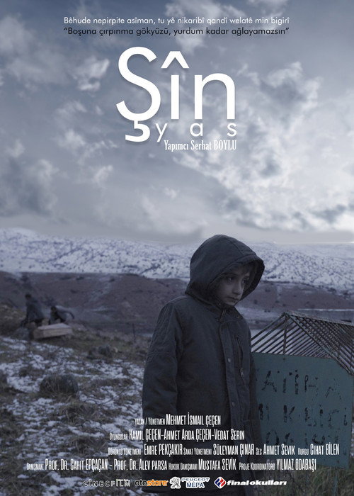 Movie poster for ŞİN