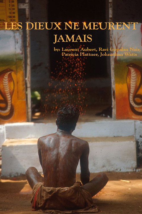 Movie poster for Les dieux ne meurent jamais (2004)