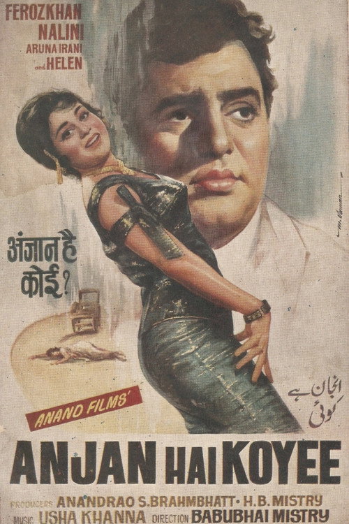 Movie poster for Anjan Hai Koyee (1969)