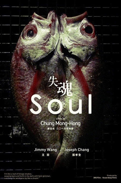 Movie poster for Soul (2013)