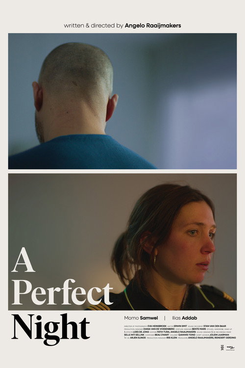 Movie poster for A Perfect Night (2025)