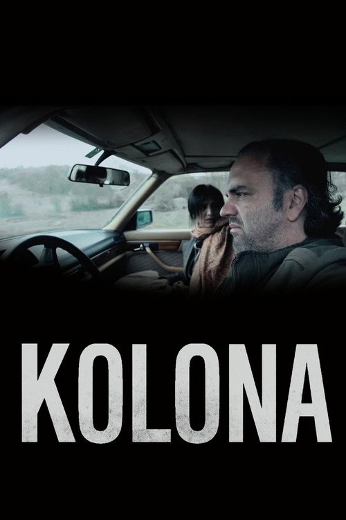 Movie poster for Column (2012)