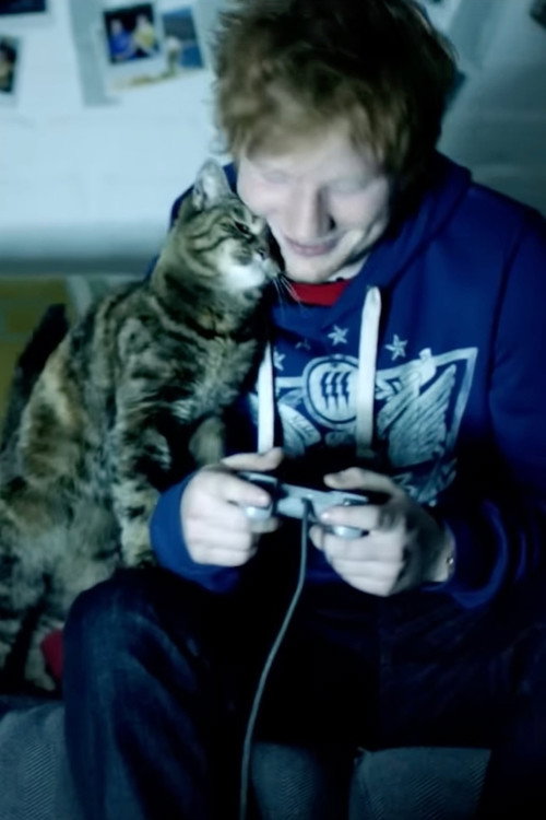 Movie poster for Ed Sheeran: Drunk (2012)