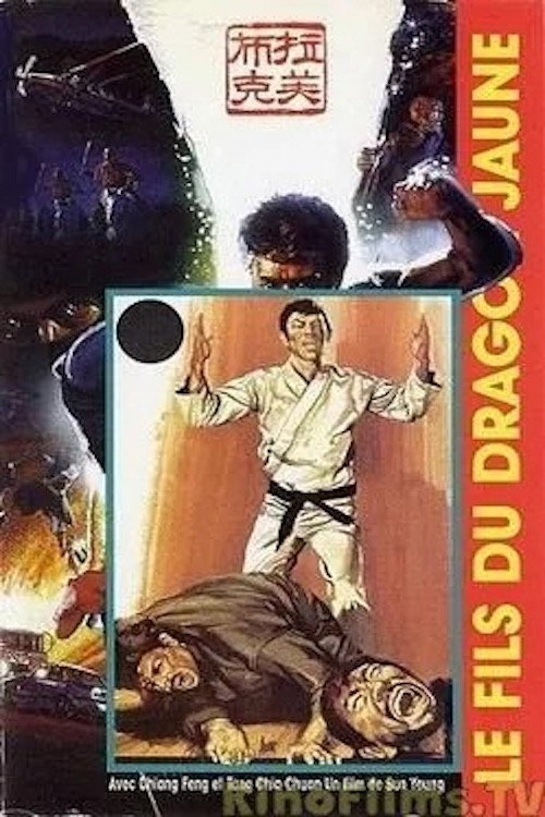 Movie poster for Son of the Yellow Dragon (1974)