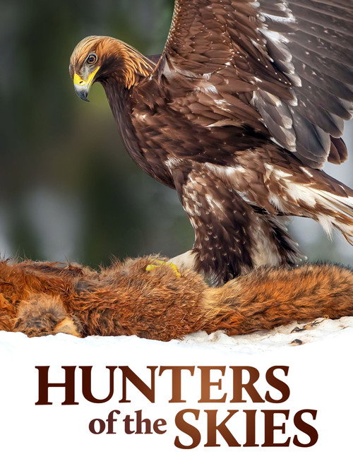 Movie poster for Hunters of the Skies (2018)