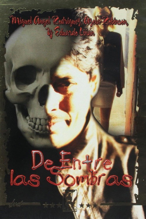 Movie poster for De entre las sombras (1994)