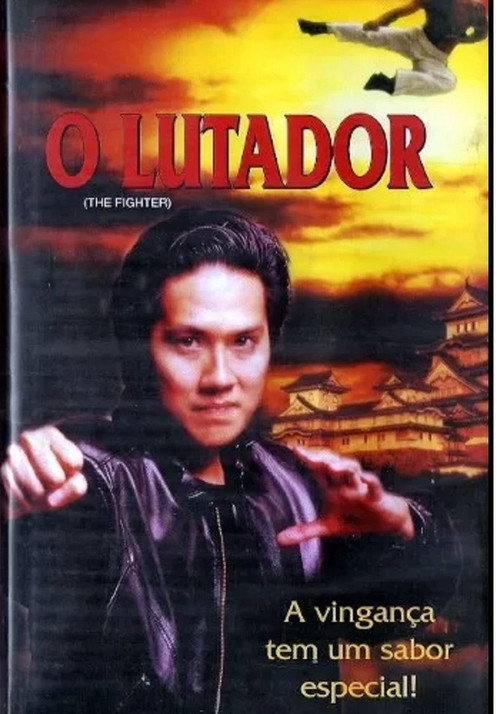 Movie poster for The Fighter (1995)