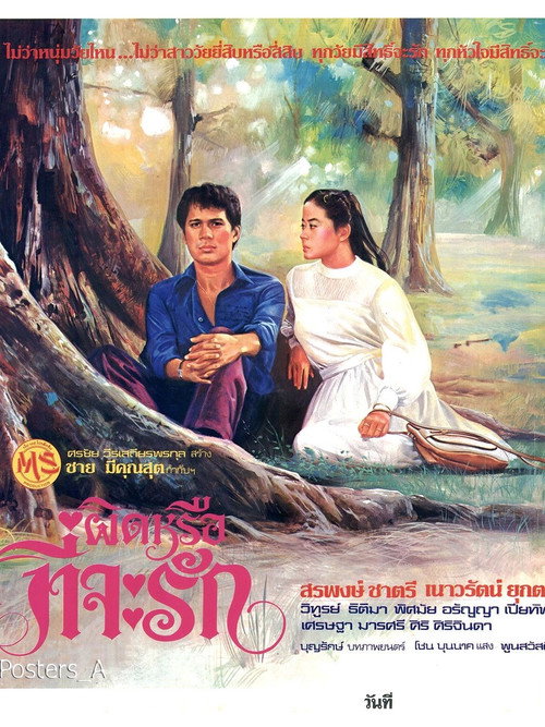 Movie poster for ผิดหรือที่จะรัก (1980)
