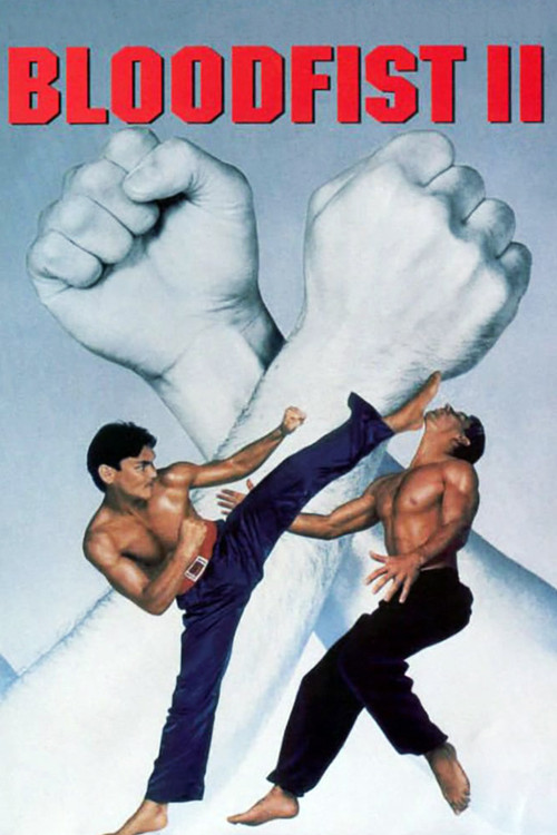 Movie poster for Bloodfist II (1990)