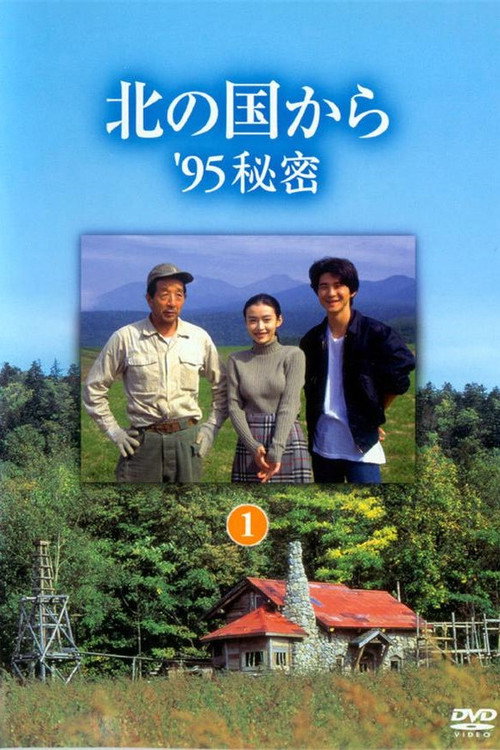 Movie poster for 北の国から ’95秘密 後編 (1995)