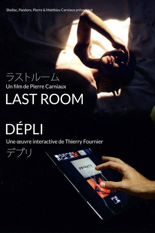 Movie poster for Last Room (2011)