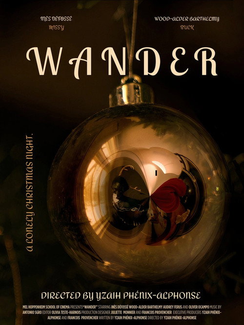 Movie poster for WANDER (2024)