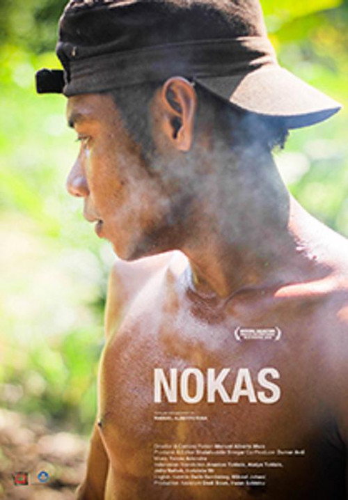 Movie poster for Nokas (2016)