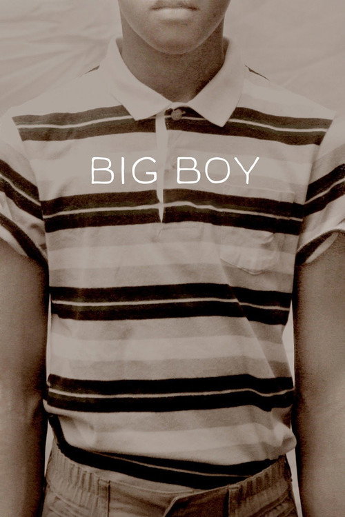 Movie poster for Big Boy (2011)