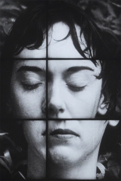 Movie poster for A Temporary Arrangement (1995)