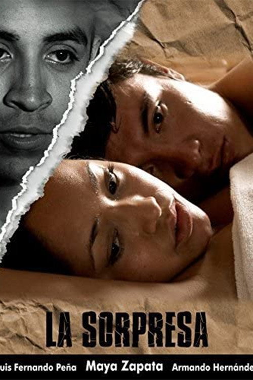 Movie poster for La sorpresa (2008)