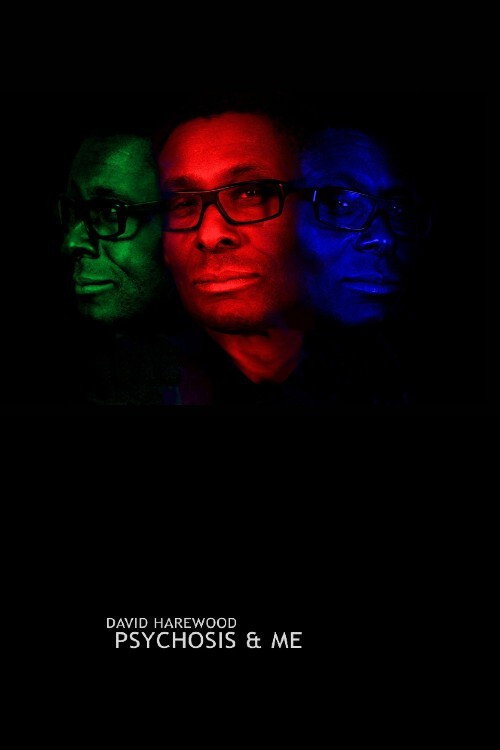Movie poster for David Harewood: Psychosis and Me (2019)