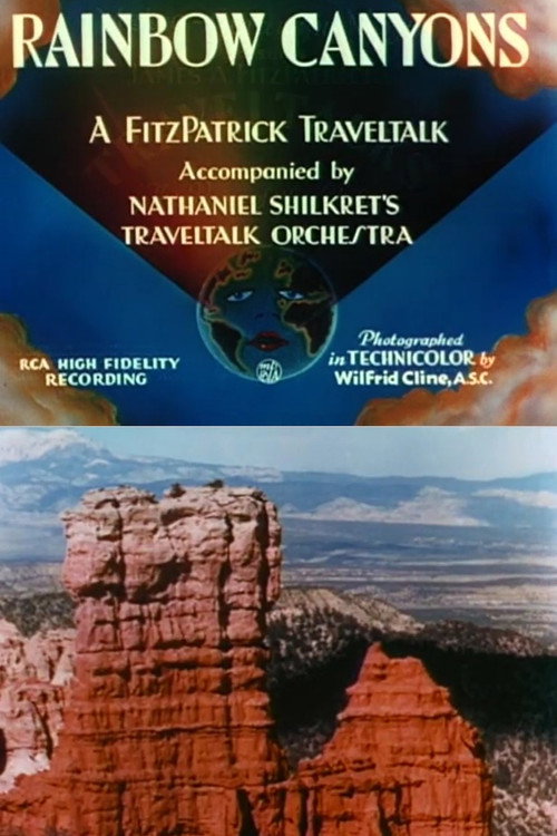 Movie poster for Rainbow Canyons (1935)