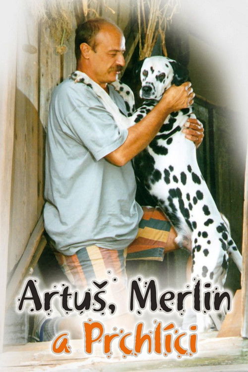 Movie poster for Artus, Merlin a Prchlici (1995)