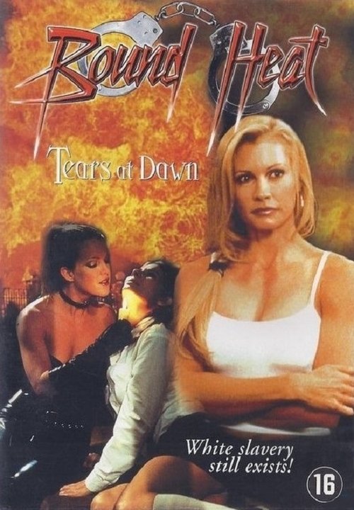 Movie poster for The Final Victim (2003)