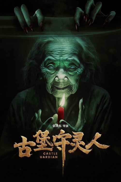 Movie poster for The Vengeance Story (2024)