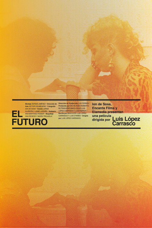 Movie poster for The Future (2013)
