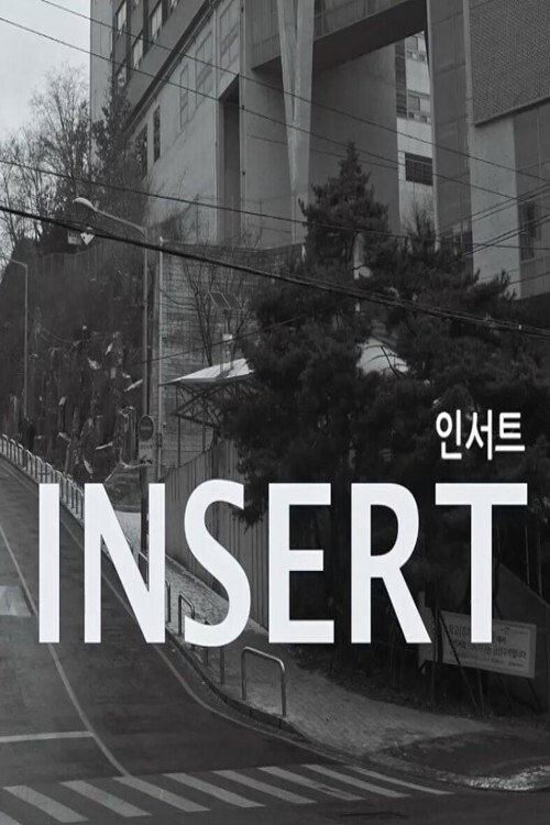 Movie poster for Insert (2018)