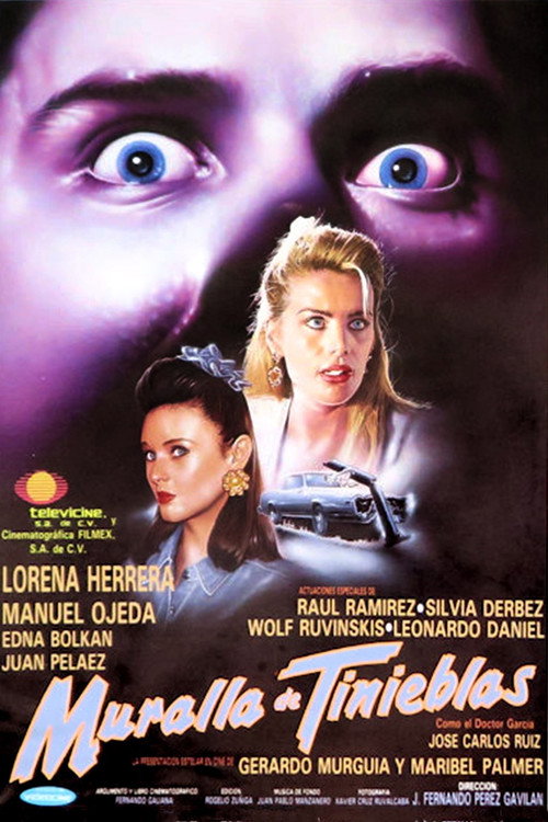 Movie poster for Wall of Darkness (1994)