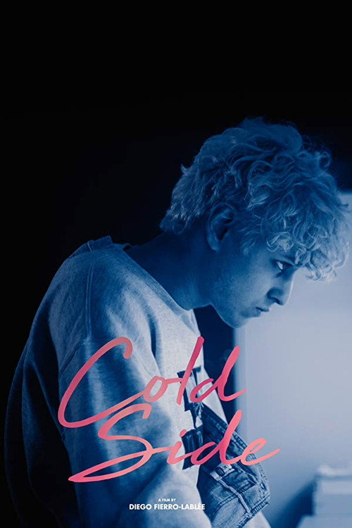 Movie poster for Cold Side (2017)