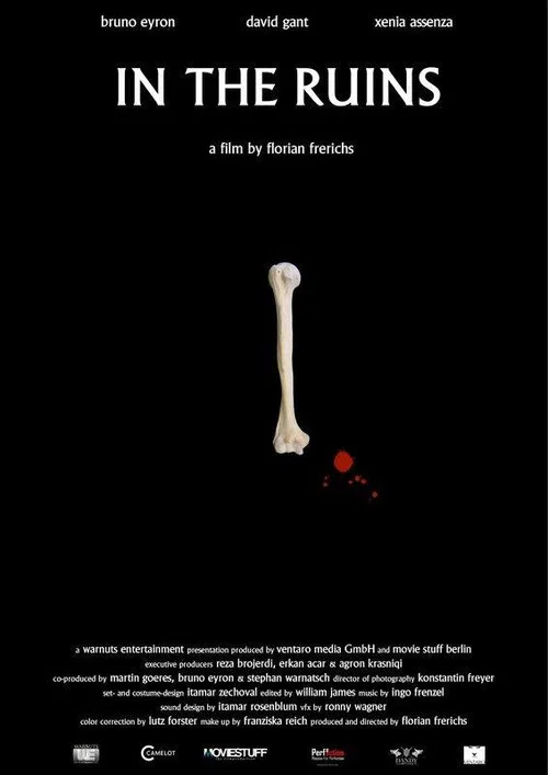 Movie poster for In the Ruins (2016)