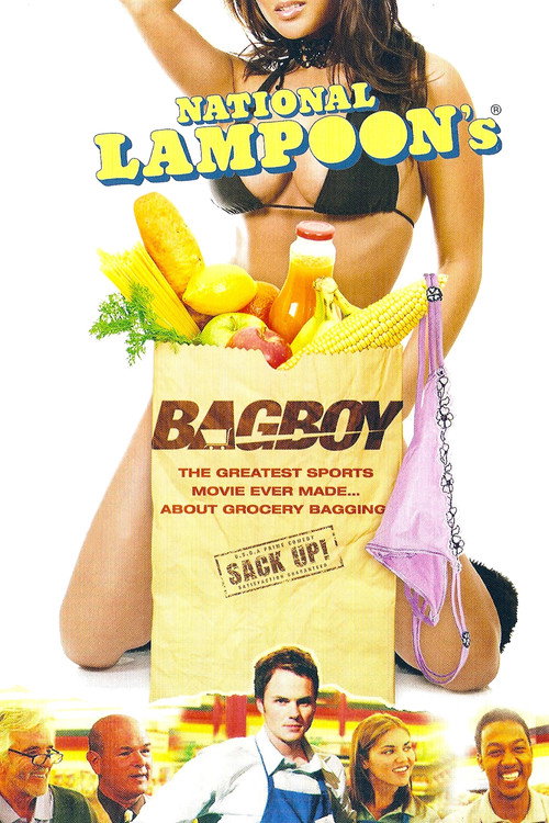 Movie poster for Bagboy (2007)