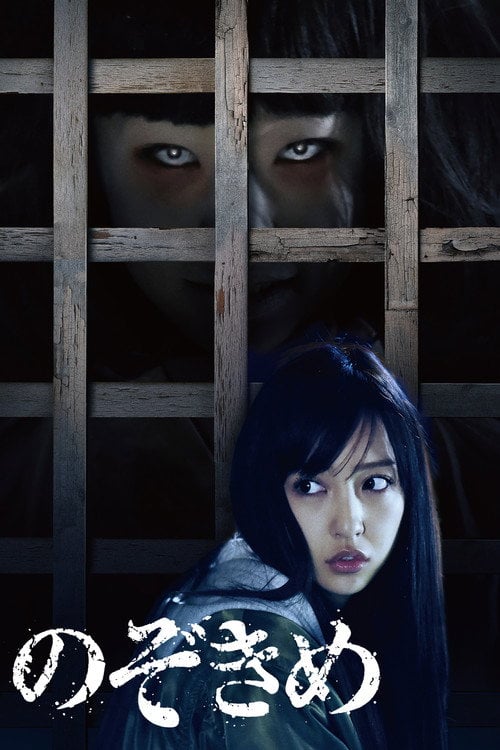 Movie poster for The Stare (2016)