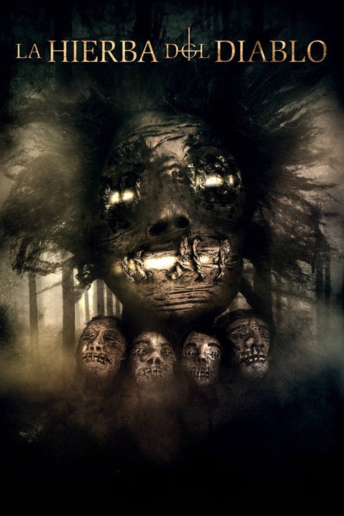 Movie poster for La Hierba del Diablo (2024)