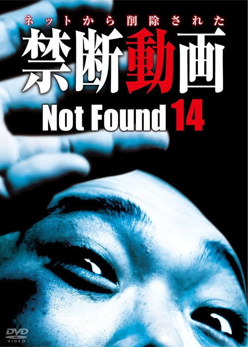 Not Found 14 poster