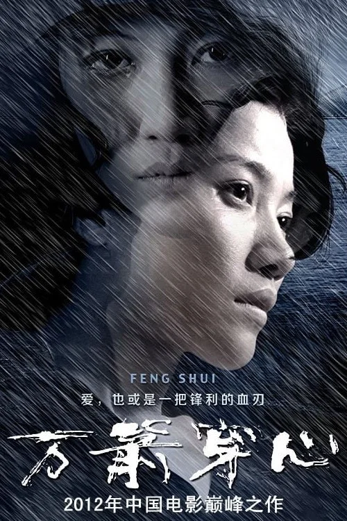 Movie poster for Feng Shui (2012)