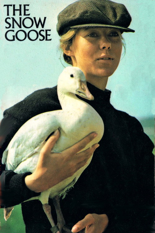 Movie poster for The Snow Goose (1971)