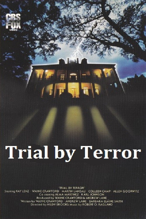 Movie poster for Trial by Terror (1983)