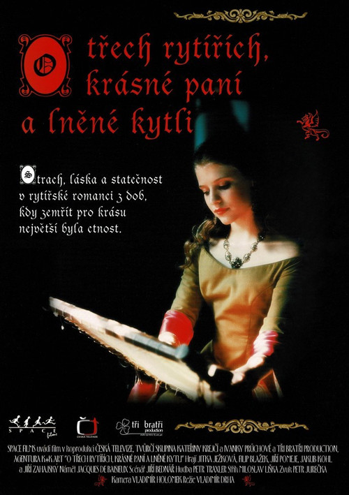 Movie poster for O třech rytířích, krásné paní a lněné kytli (1996)