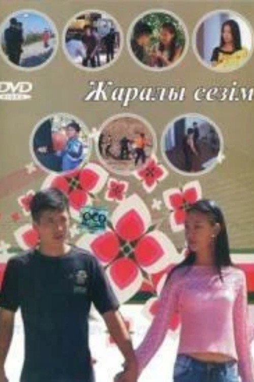 Movie poster for Wounded Feeling (2007)