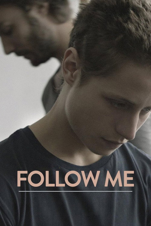 Movie poster for Follow Me (2015)