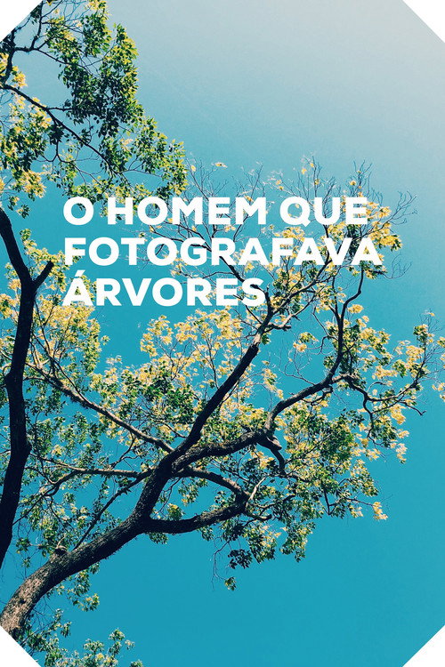 Movie poster for O Homem que Fotografava Árvores (2016)