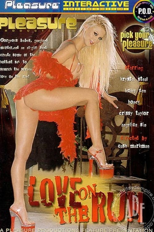 Movie poster for Love on the Run (2004)